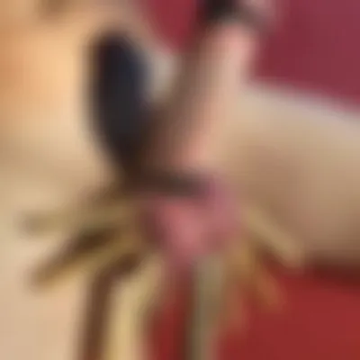 Profilbild von BDSM-Slave102, 39 Jahre