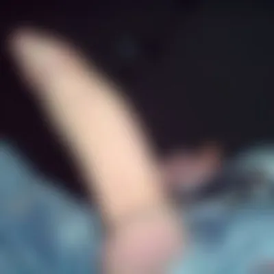 Profilbild von cealis1976, 50 Jahre