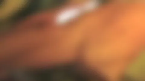 geil mit der ex