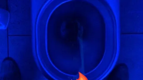 Pissen bei Blauer Toilette OMG wie geil