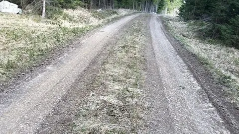 Mutprobe auf Gehweg Jungschwanz reiben