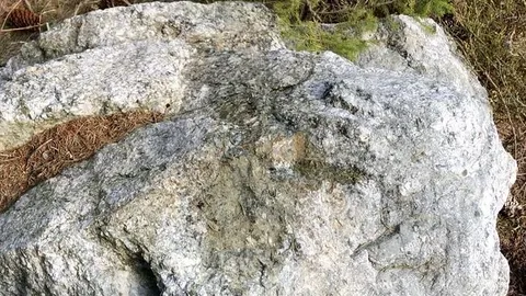 Auf einen Stein Natursekt gießen