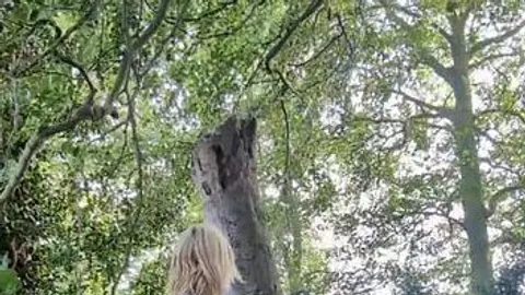 Cum_Stealer: Wald Natur