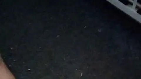 Daniel_Kingstar: Zuckerstange im Einsatz