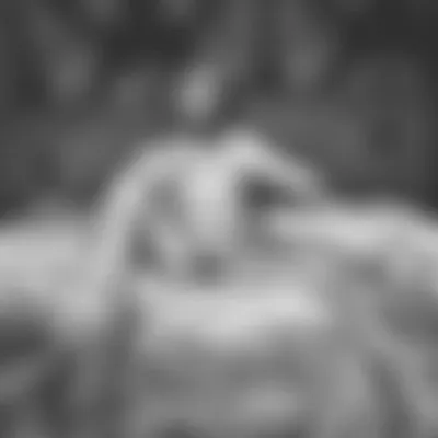 Profilbild von DarkPhoenix2108, 39 Jahre