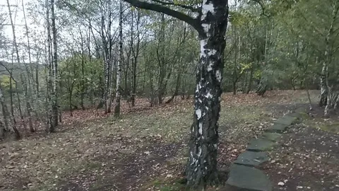 Dildo-Boy: Schnelles Abspritzen im Wald