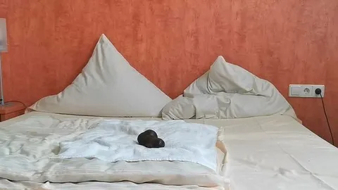 Dildo-Boy: Hotel Dildo Ficker