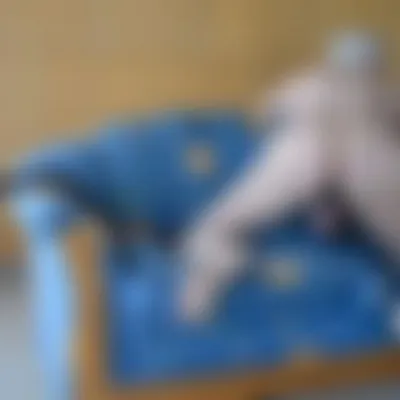 Profilbild von flottreifundgeil
