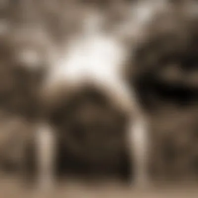 Profilbild von formula1x, 53 Jahre