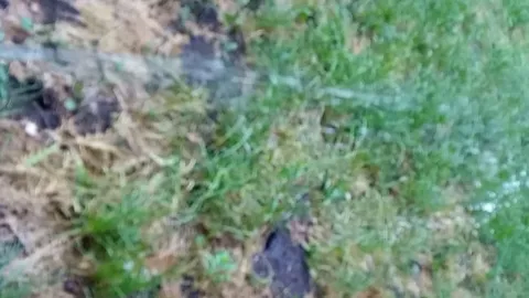 Geiler weit Piss inkl sperma