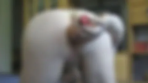 Dildofick