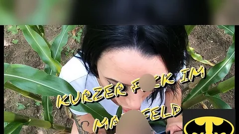 MR-Magic-Deluxe: Im Maisfeld an der A7