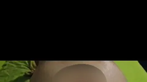 Musclequeen_Diana: Userfick Anal Zusammenstellung best of Anal Ficken