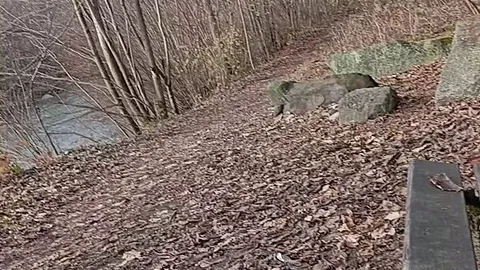 Onkeltom1985: Auf den Wanderweg gespritzt....