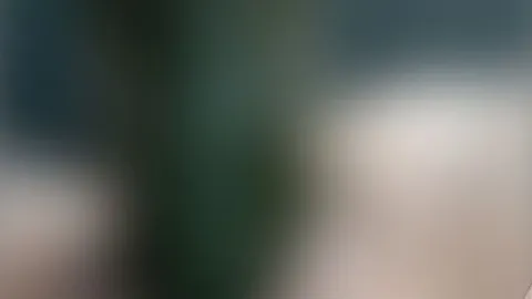 Sarahhx3: Gemüse ist gesund oder?