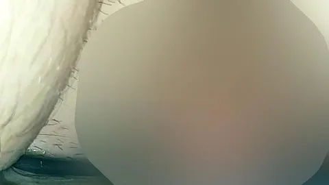 Im liegen auf die Couch Pissen