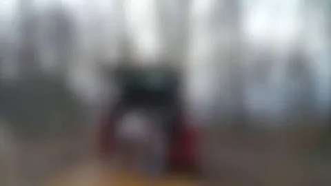 Voyeur im Wald