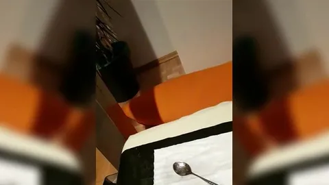 Taunussteinerin: Sammelalbum - Wichs-und Pinkelspiele (Video)
