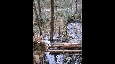 YoungAlex_20: Bei spazieren auf der Brücke mitten am Weg schön gepasst:)